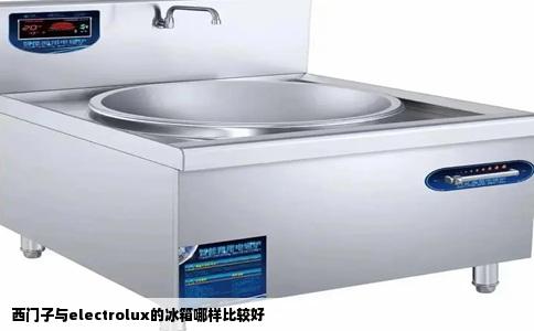 西门子与electrolux的冰箱哪样比较好