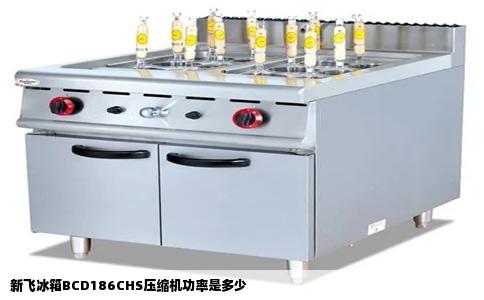 新飞冰箱BCD186CHS压缩机功率是多少