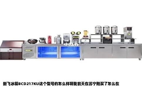 新飞冰箱BCD217KU这个型号的怎么样啊我前天在苏宁刚买了怎么在