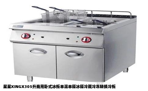 星星XINGX305升商用卧式冰柜单温单箱冰箱冷藏冷冻转换冷柜