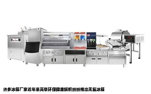 许多冰箱厂家近年来高举环保健康旗帜纷纷推出无氟冰箱