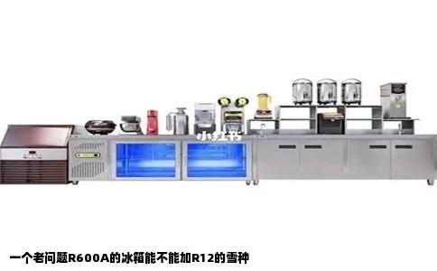 一个老问题R600A的冰箱能不能加R12的雪种