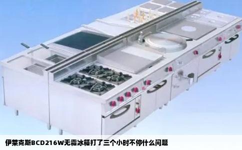 伊莱克斯BCD216W无霜冰箱打了三个小时不停什么问题