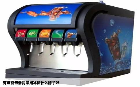 有谁能告诉我家用冰箱什么牌子好