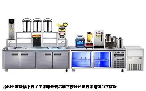 原因不准备读下去了学咖啡是去培训学校好还是去咖啡馆当学徒好