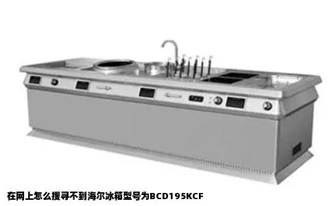 在网上怎么搜寻不到海尔冰箱型号为BCD195KCF