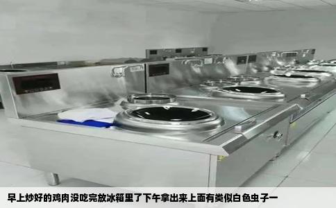 早上炒好的鸡肉没吃完放冰箱里了下午拿出来上面有类似白色虫子一