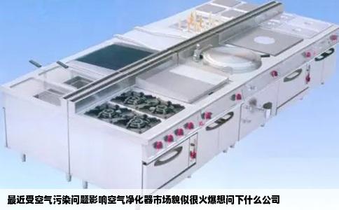 最近受空气污染问题影响空气净化器市场貌似很火爆想问下什么公司