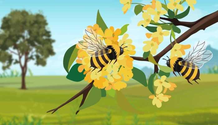 蜜蜂靠什么采蜜蜜蜂为什么要采蜜