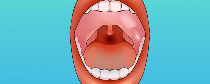 喉咙中间的小舌头有什么用喉咙里的小舌头是什么