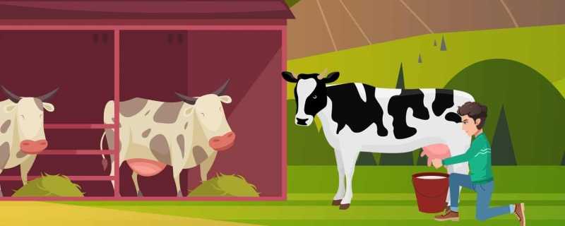 属牛的今年多大2024通过农历年份来计算