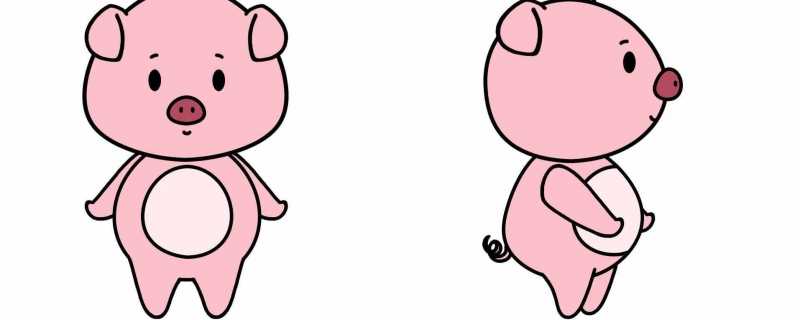 属猪2024年虚岁多大虚岁是每到一个春节增加一岁