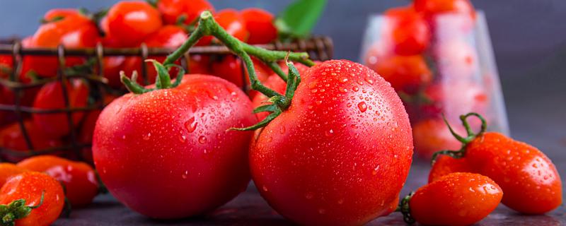 ​梦到吃西红柿是什么意思梦到吃西红柿是什么预兆
