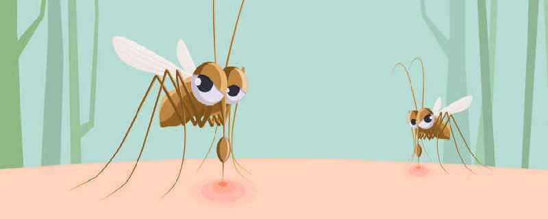 推荐驱除蚊子的方法消灭蚊子的方法有什么