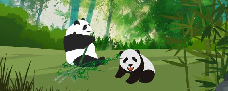 死亡野生大熊猫为成年雌性官方通报死亡大熊猫核查情况