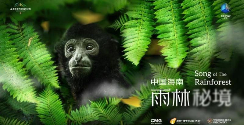 华人文化旗下云集将来纪录片《中国海南·雨林秘境》3月31日海外首播