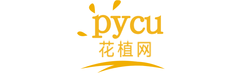 PYC