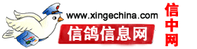 信鸽信息网www.xingechina.com